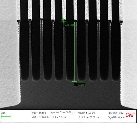 Deep Silicon etch in PT SLR ICP using Nanoimprint Lithography (800nm lines, 14:1 aspect ratio) 